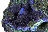 Sparkling Azurite Crystals with Malachite - Laos #170029-4